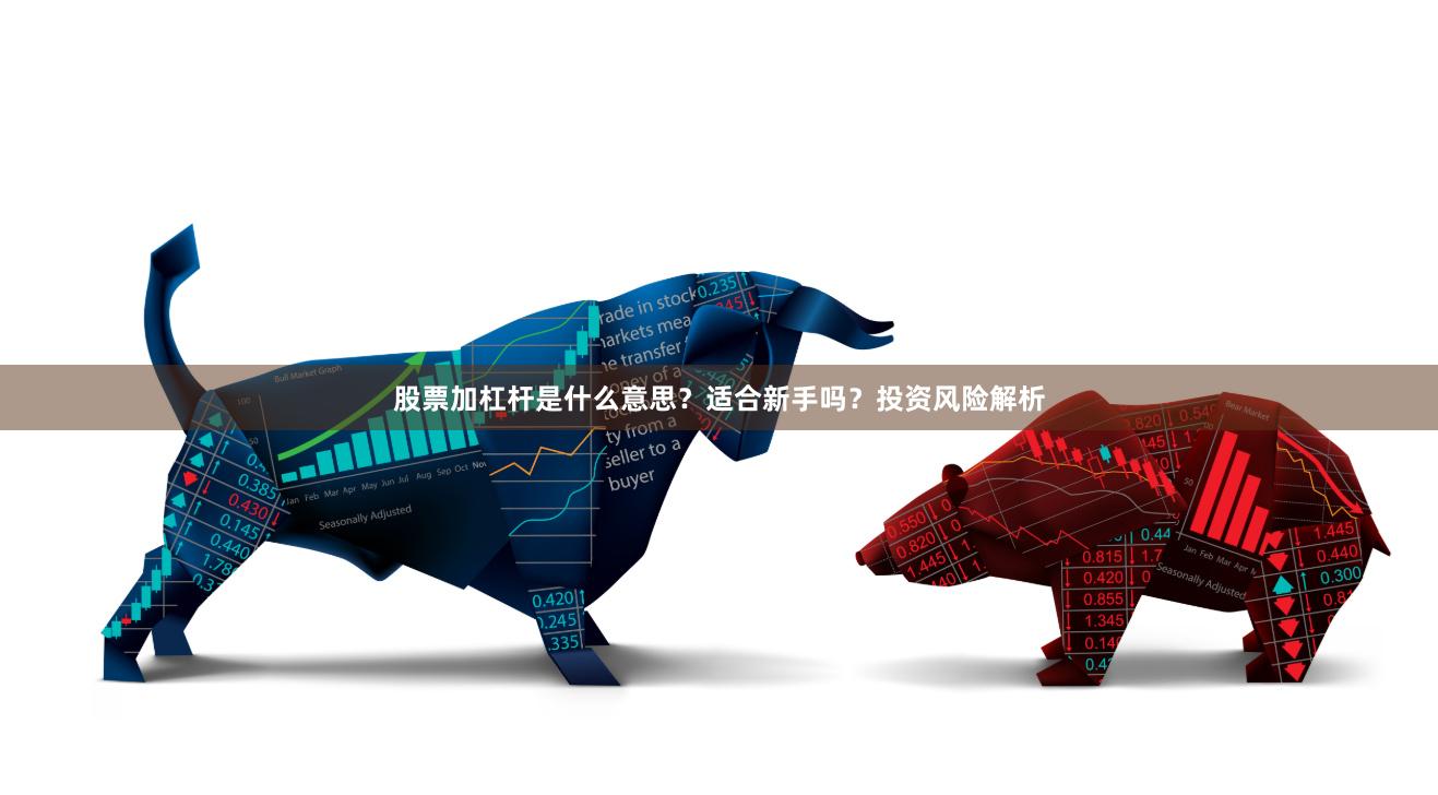 股票加杠杆是什么意思？适合新手吗？投资风险解析