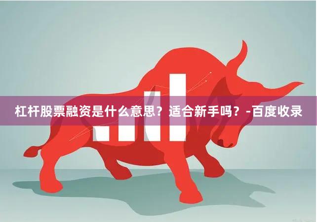 杠杆股票融资是什么意思？适合新手吗？-百度收录